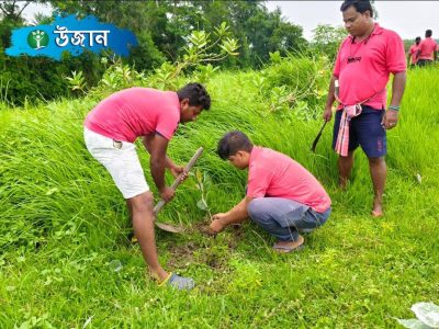 World Environment Day